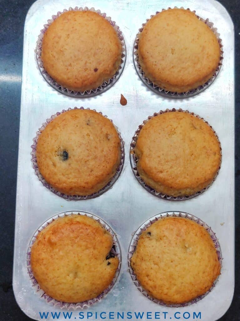 Blueberry cupcakes
