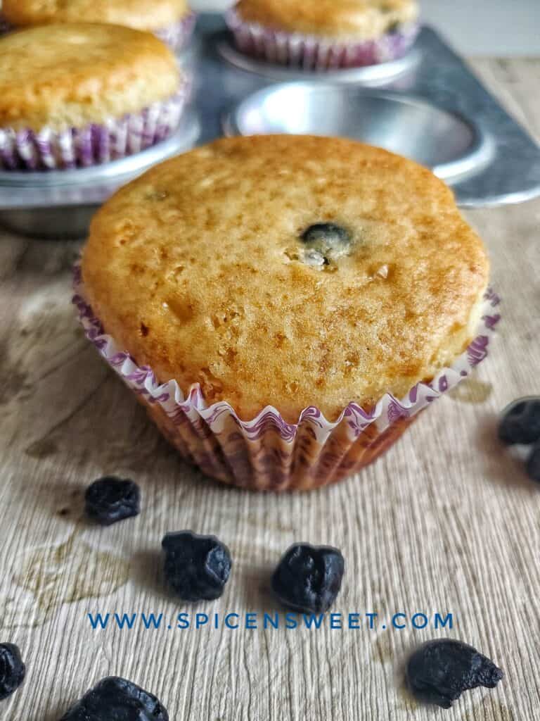 Blueberry cupcakes